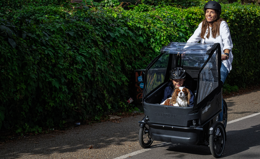 Black Iron Horse IBEX